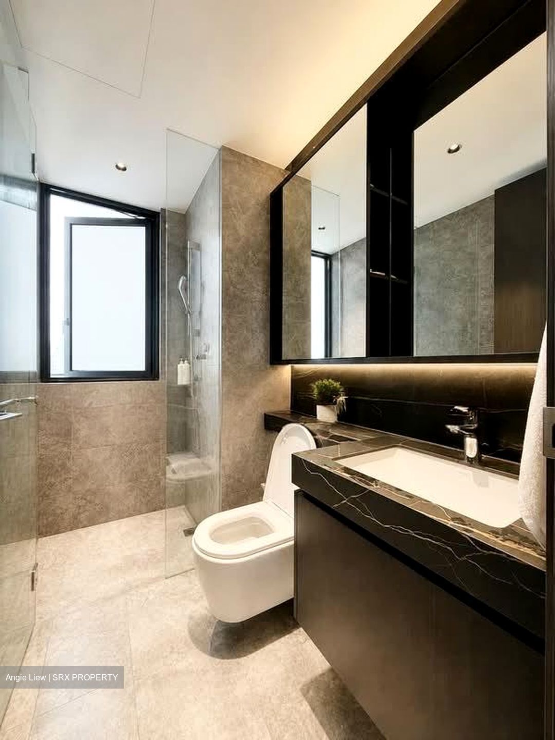 Hyll On Holland (D10), Condominium #586805091